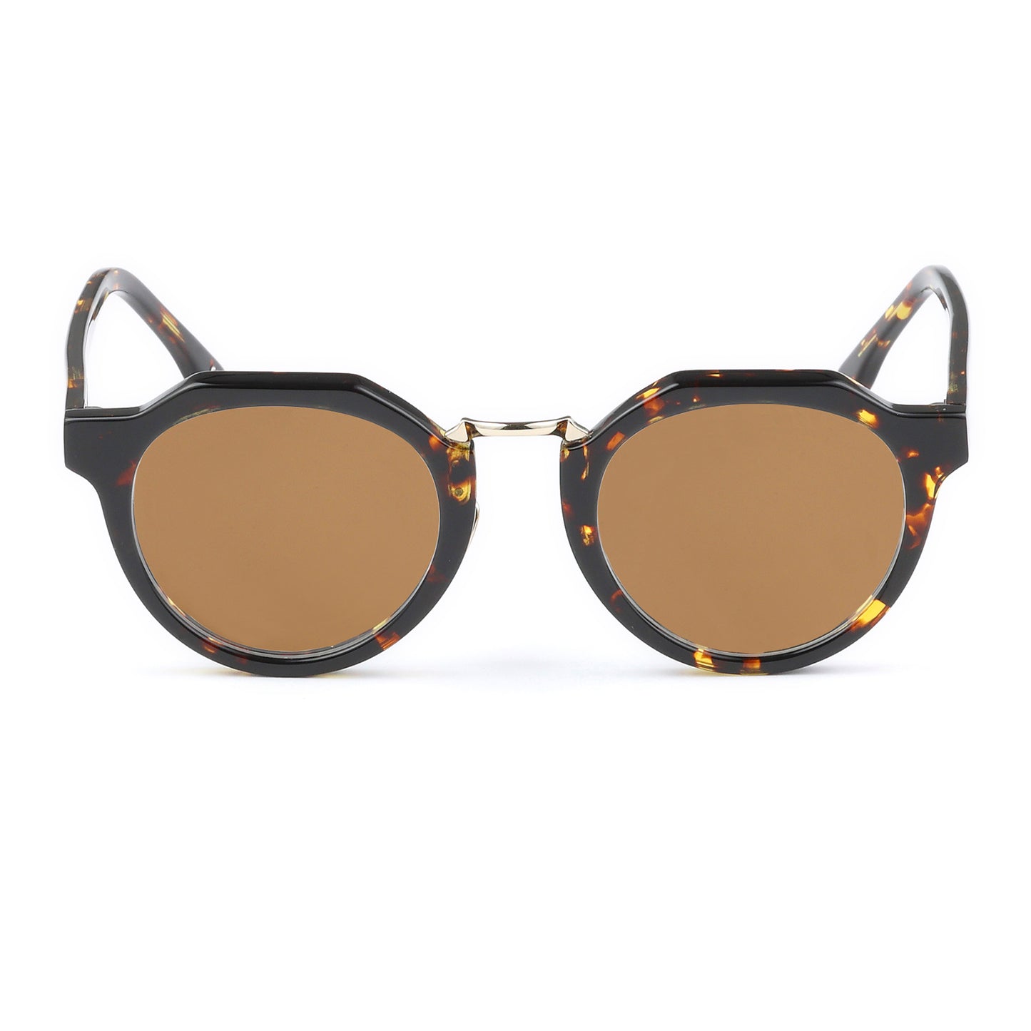 #09 TORTOISE / BROWN