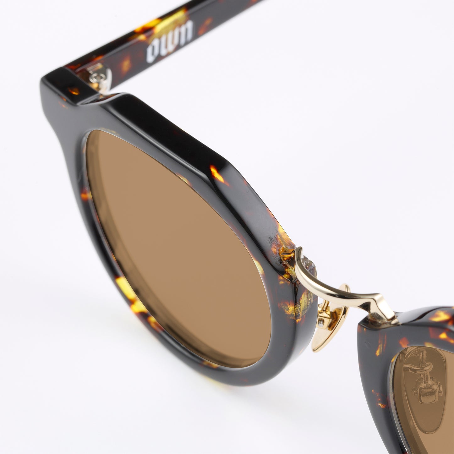 #09 TORTOISE / BROWN