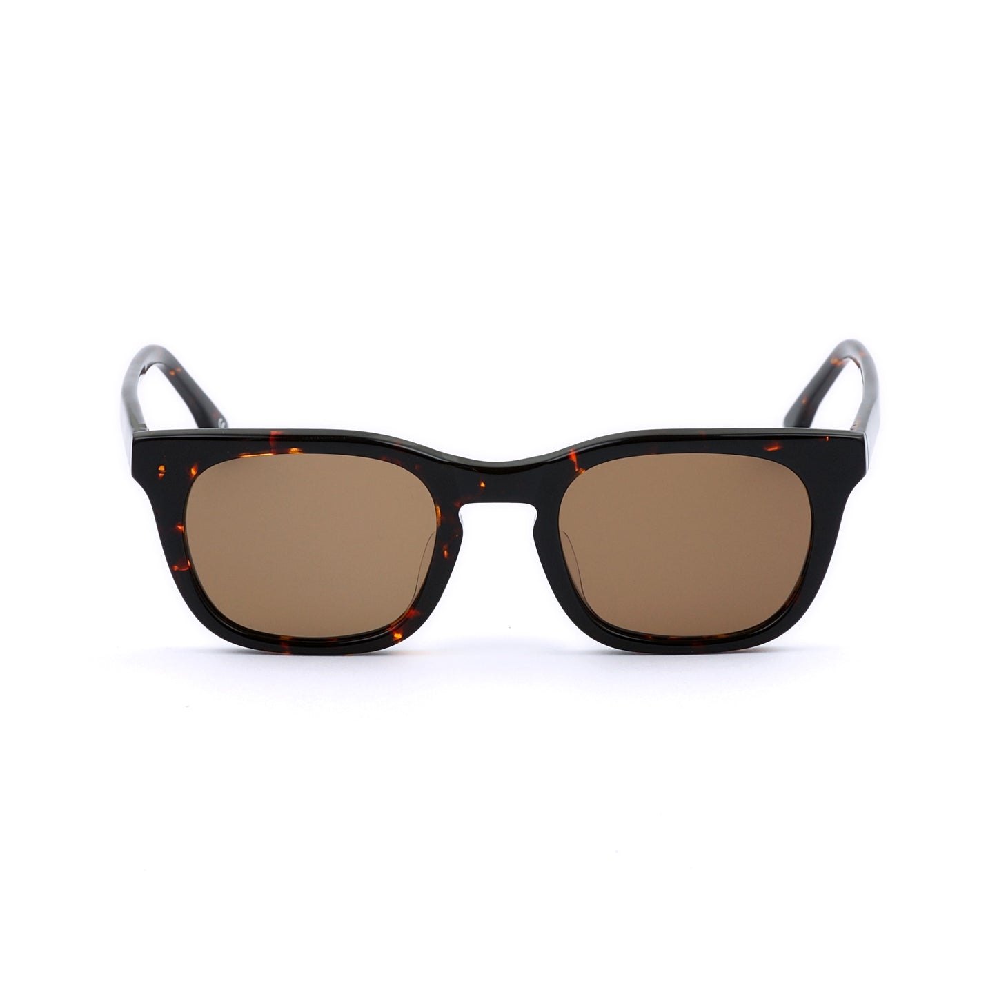 #01 DARK TORTOISE/BROWN