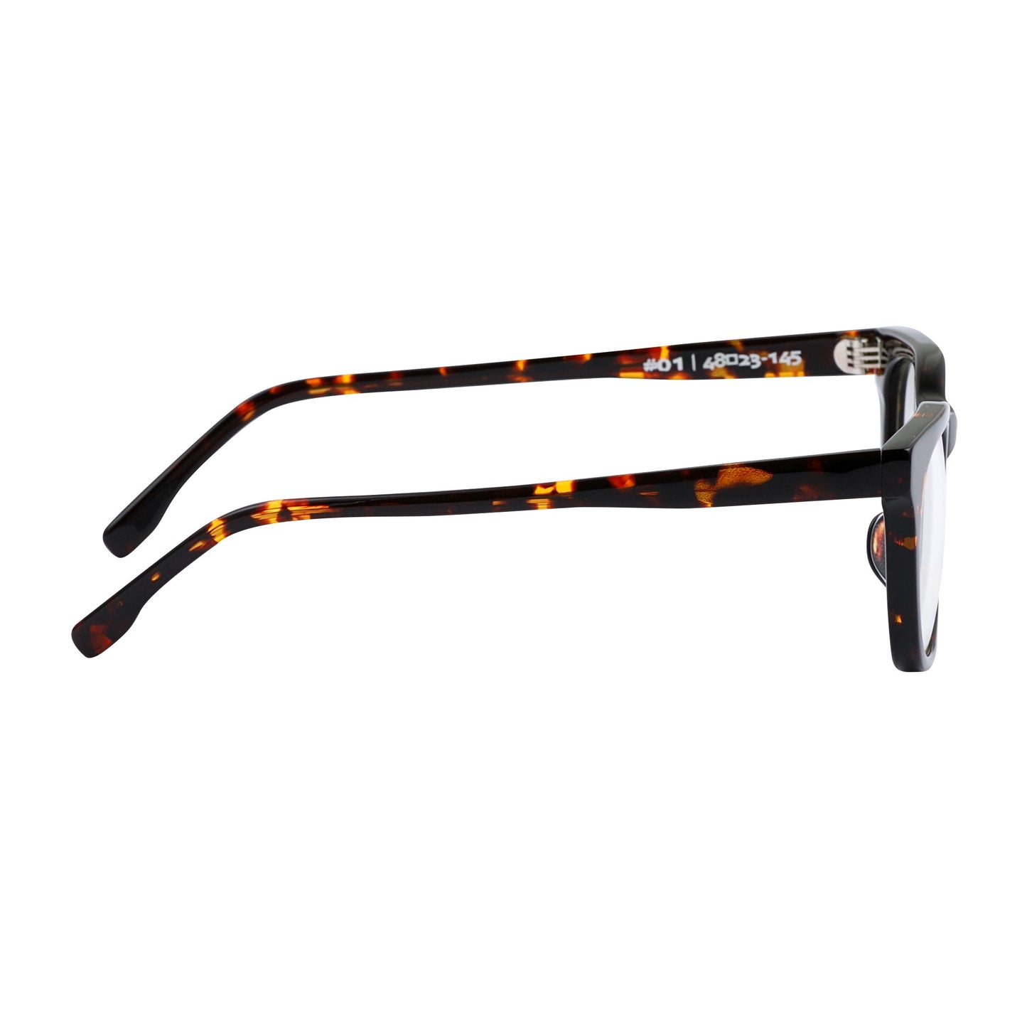 #01 DARK TORTOISE/CLEAR