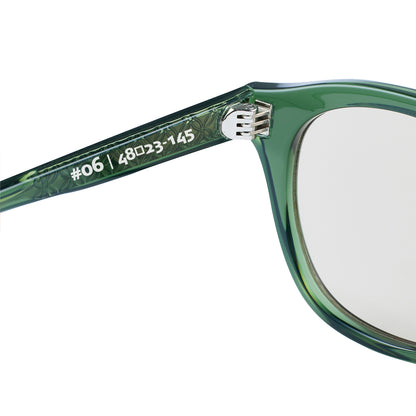 #06　IVY GREEN / CLEAR BROWN