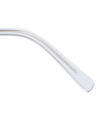 #17 SILVER TITANIUM / CLEAR 