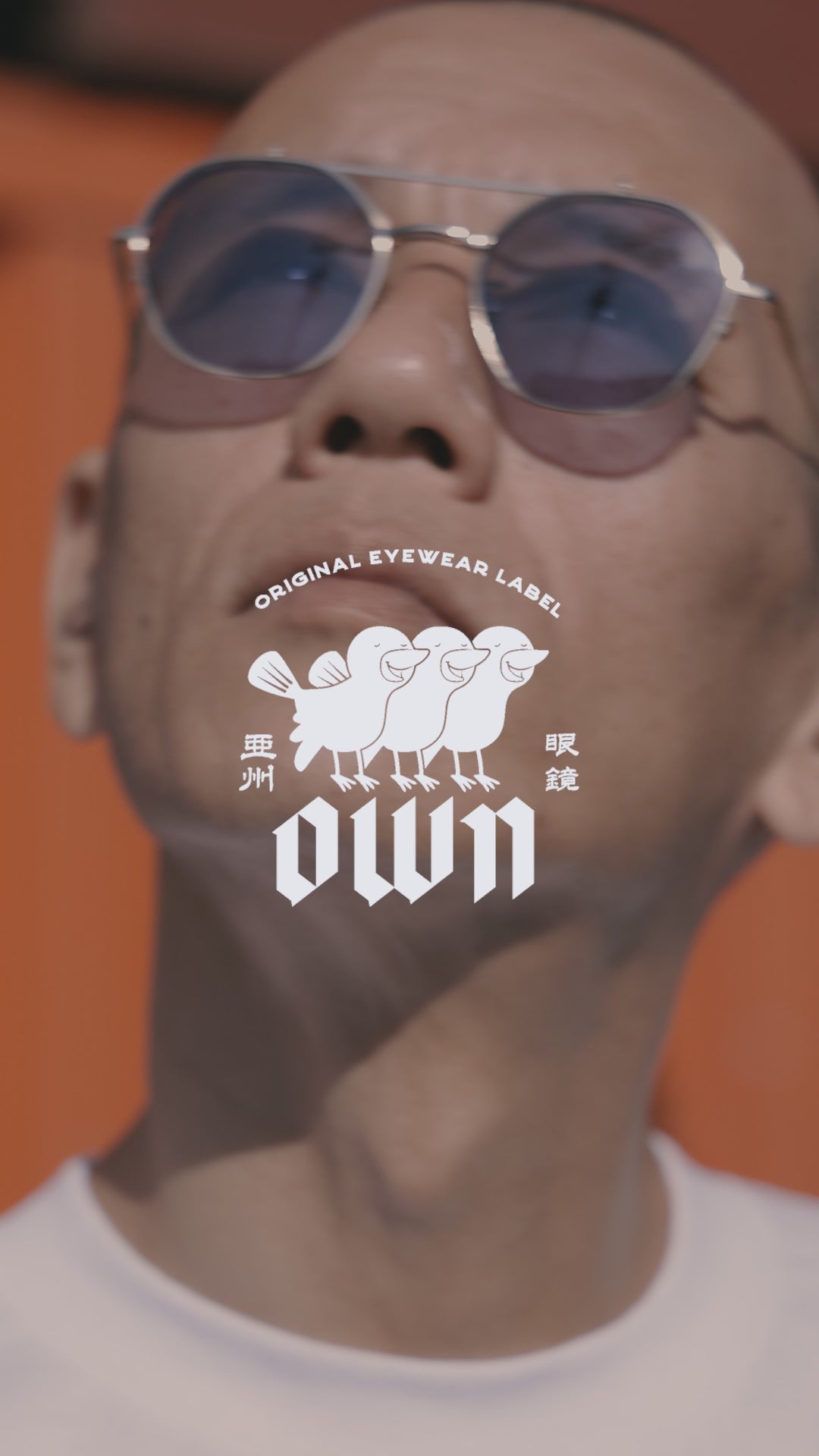 動画を読み込む: 