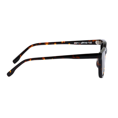#01　DARK TORTOISE/BROWN